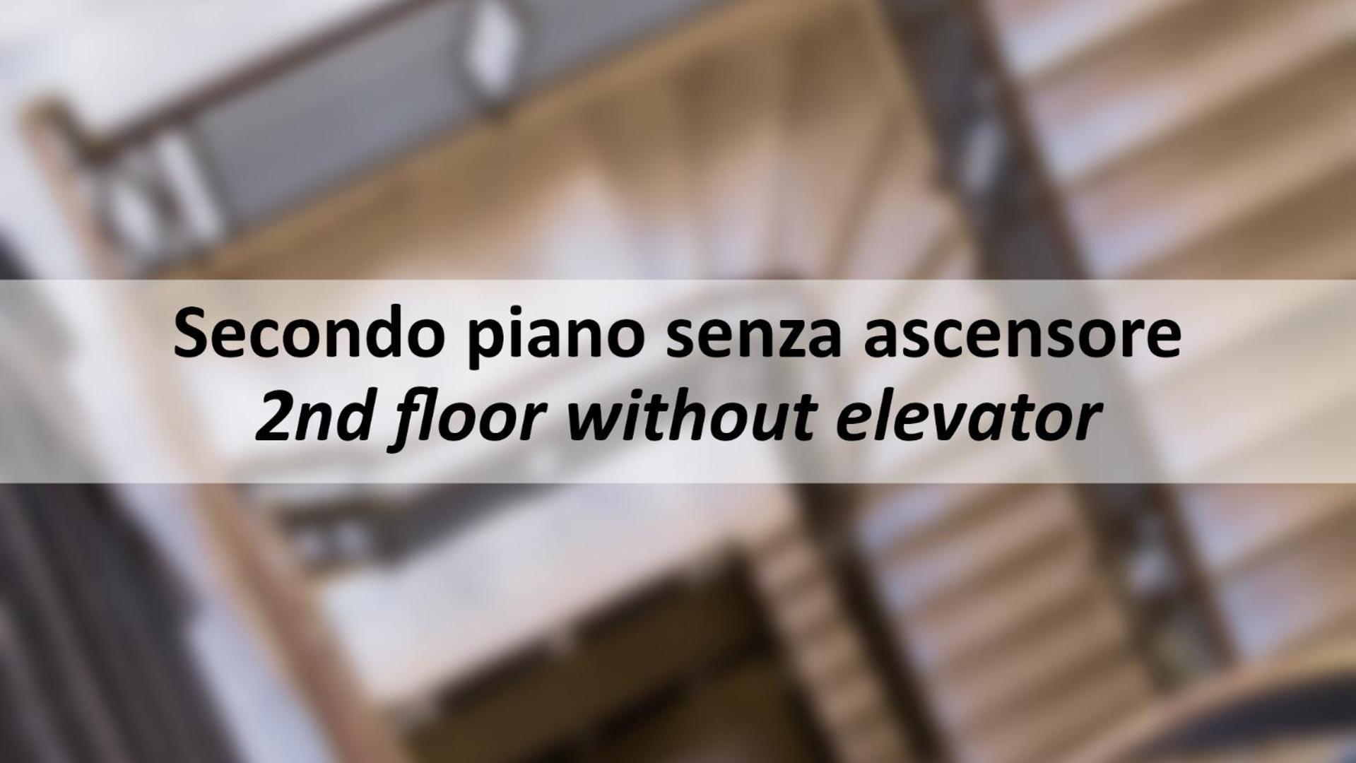 Mamo - Verdi * Firenze